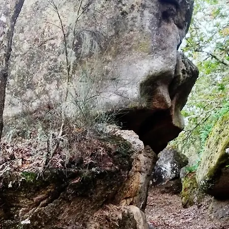 Charming House In Parada With Large Garden Сasa de vacaciones Parada (Ourense)