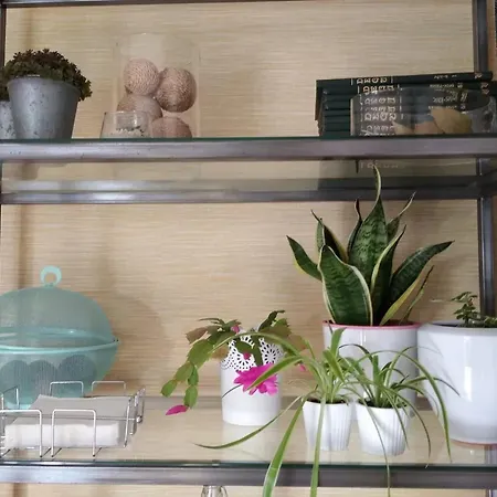 Charming House In Parada With Large Garden Сasa de vacaciones Parada (Ourense)