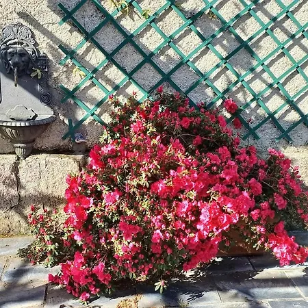 Charming House In Parada With Large Garden Сasa de vacaciones