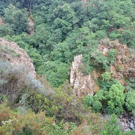 Charming House In Parada With Large Garden