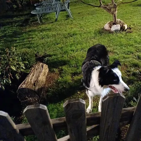 Charming House In Parada With Large Garden *